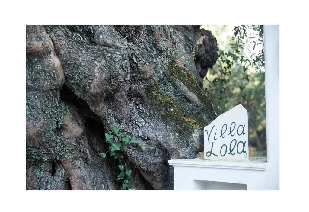 Villa Lola - 3 Bedrooms & Private Pool Lithakia  ภายนอก รูปภาพ